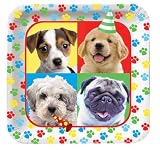 Creative Converting Paw-Ty Time Square Dinner Plates, 8-Count