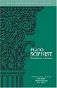 Plato : Sophist: The Professor of Wisdom (Focus Philosophical Library)