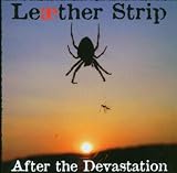After The Devastation