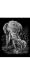 Silver Foil Engraving Art Elephant & Baby