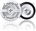 Blaupunkt MSX542 5.25-Inch Marine Coax Speaker Set (Discontinued by Manufacturer)