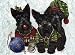   - Scottish Terrier Santa's Elves Greeting Cards