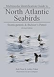 Multimedia identification guide to North Atlantic seabirds : Storm-petrels & Bulwer's petrel