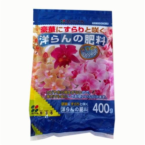 豪華にすらりと咲く洋らんの肥料400g