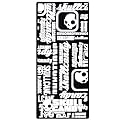 Skullcandy Billboard Nano 4G Case - Black (SCNSBZ-03)