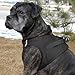 CHOKE FREE REFLECTIVE STEP IN ULTRA HARNESS - BLACK - AMERICAN RIVER (XXS) by Doggie Design
