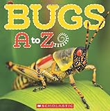 Learning about insects