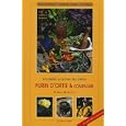 Purin d'ortie et compagnie