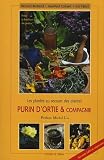 Purin d'ortie et compagnie