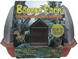 Banana Farm