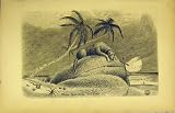 ANTIQUE PRINT DOG ROCK CROSS SNAKE c1890 PALM TREE