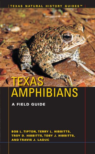 Texas Amphibians (Texas Natural History GuidesTM)