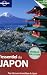 L'essentiel du Japon