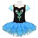Girls Birthday Theme Party Dance Tutu Dress Flourish Flower Embroidery