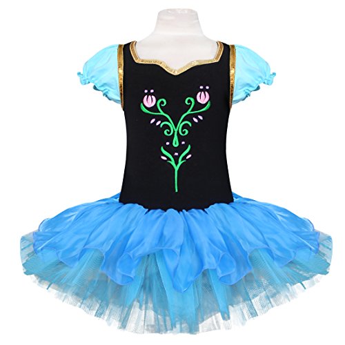 Girls Birthday Theme Party Dance Tutu Dress Flourish Flower Embroidery