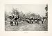 1900 Print Netanya Israel Drum Beaters Cultural Natives Nathania Historic Image - Original Halftone Print