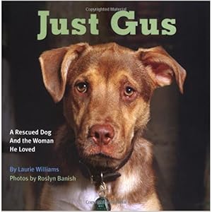 gus dog