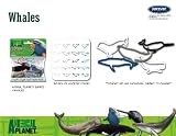 Forever Collectibles Animal Planet Whale and Dolphin Logo Bandz Bracelets