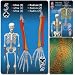 Human skeleton playing cards (English, Spanish and French Edition)