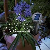 Solar-Lichterkette mit 24 LED
