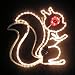 Kitchen & Housewares : Garden Party Disco Lighting Squirrel chasing tail & eye size 3cm x 56cm x 52cm