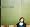 Sara Watkins