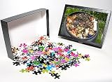 Photo Jigsaw Puzzle of MAB-832 Worms visible amongst variety of kitchen waste including vegetable and from Ardea Wildlife Pets