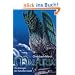 Malfuria, Bd. 3: Die K�nigin der Schattenstadt