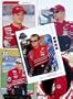 Dale Earnhardt Jr. 20-Card Set
