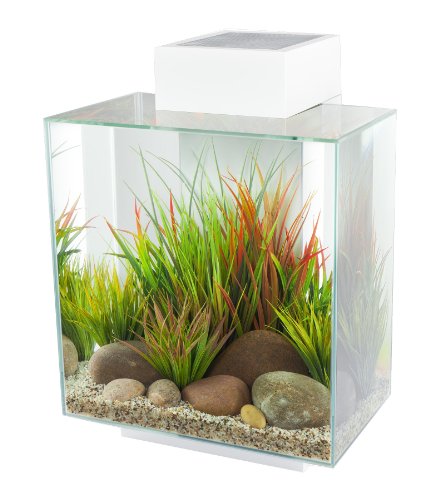 Fluval Edge, 12 gallon Aquarium with 42-LED Light, White