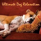 Music For Pets Ultimate Dog Relaxation