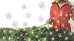 4' x 6' Warm White LED Wide Angle Net Christmas Lights - 120 Lights Green Wire