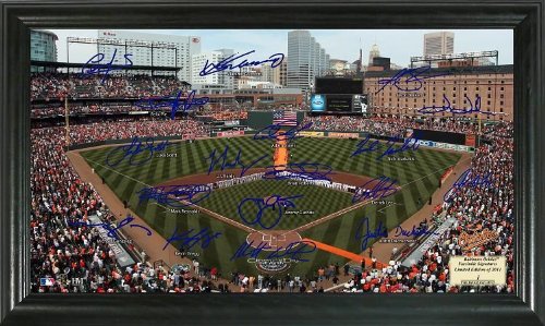 Highland Mint MLB Baltimore Orioles Signature Field Framed Art