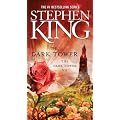The Dark Tower VII