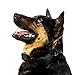 Bark Control Pro - Dog Bark Collar - The Quick and Effective Small and Large Breed Shock Collar - Adjustable Sensitivity - Seven Levels of Feedback - Guaranteed