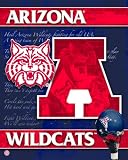 University of Arizona 3D Motion Poster 8x10
