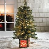 BrylaneHome Cordless 4' Tree With Urn (GREEN,0)