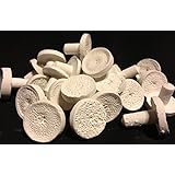 100 Premium Ceramic Coral Frag Plugs ReefCreators 1" Crowns