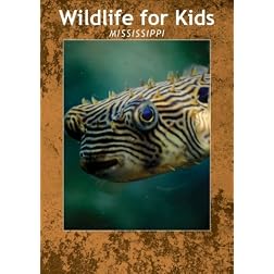 Wildlife for Kids