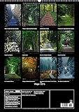 Image de Wege 2015 (Wandkalender 2015 DIN A2 hoch): Wege, die Lust machen, sie zu gehen. (Monatskal