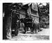 Historic Print (L): Bronx Zoo?, New York City