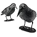 Shrocko 2 Jumbo Realistic Looking Crows For Halloween Home Décor and Party Decorations Decor. Bats Are Sold Separately