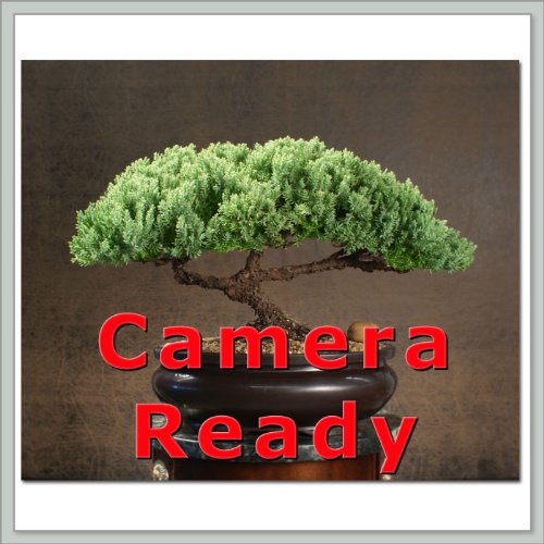 bamboo leaf japanese maple bonsai. Bamboo-Leaf Japanese Maple 5