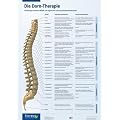 Die Dorn-Therapie. Poster 59,4 x 84 cm: Beziehung zwischen Wirbeln und organischen sowie psychischen Beschwerden