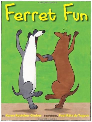 Ferret Fun