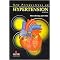 New Perspectives On Hypertension (New Perspectives Series) (Paperback)