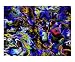 Confusion of the Senses Abstract Photographic Poster Print by Moshiach, 10x8