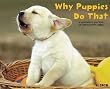 Why Puppies Do That 2010 Wall Calendar