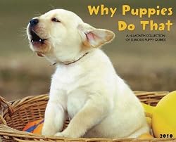 Why Puppies Do That 2010 Wall Calendar