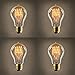 Set of 4 Coney Island A19 Vintage Filament 40W (E26) Bulbs